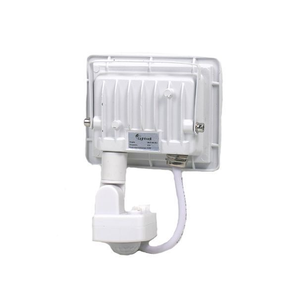 295921 фото